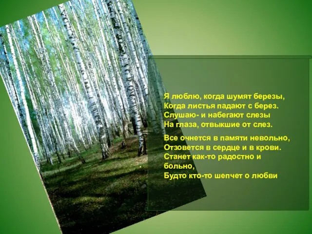 Я люблю, когда шумят березы, Когда листья падают с берез. Слушаю- и