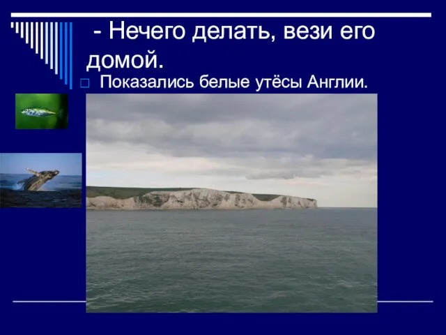 - Нечего делать, вези его домой. Показались белые утёсы Англии.