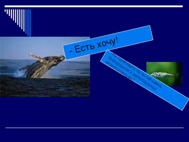 - Есть хочу! -Не пробовало ли ты человека, благородное и великодушное млекопитающее?