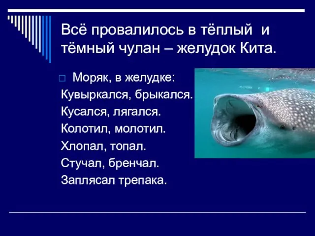 Всё провалилось в тёплый и тёмный чулан – желудок Кита. Моряк, в