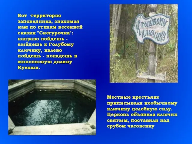 Вот территория заповедника, знакомая нам по стихам весенней сказки "Снегурочка": направо пойдешь