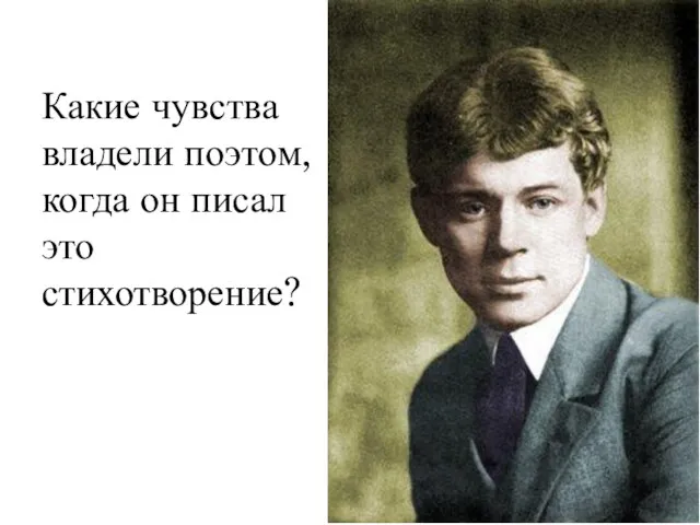 Какие чувства владели поэтом, когда он писал это стихотворение?