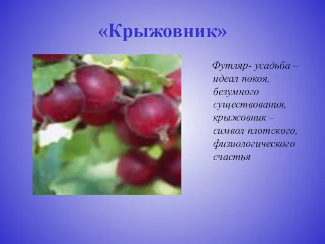 «Крыжовник» Футляр- усадьба – идеал покоя, безумного существования, крыжовник – символ плотского, физиологического счастья