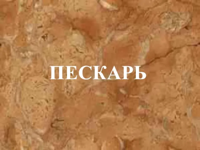 ПЕСКАРЬ