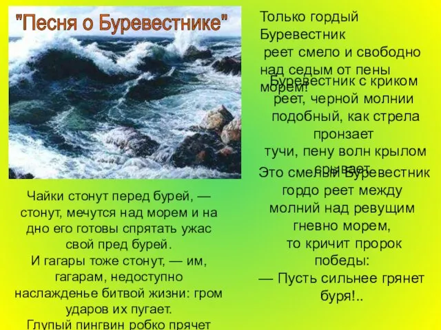 "Песня о Буревестнике" Чайки стонут перед бурей, — стонут, мечутся над морем