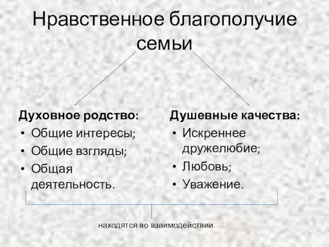 Нравственное благополучие семьи Духовное родство: Общие интересы; Общие взгляды; Общая деятельность. Душевные