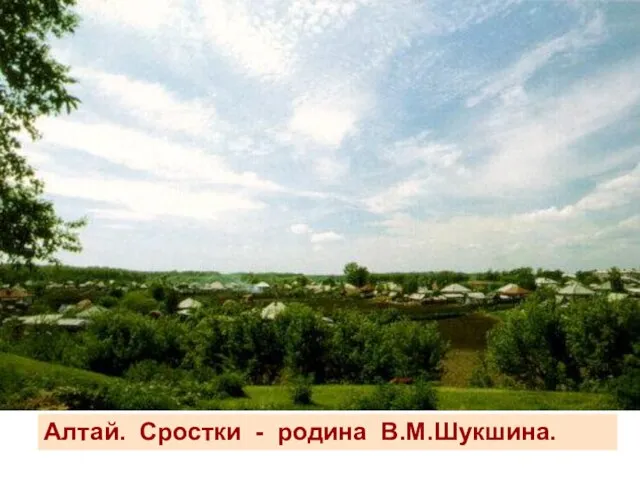 Алтай. Сростки - родина В.М.Шукшина. Алтай. Сростки - родина В.М.Шукшина.