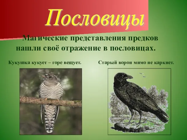 Пословицы Магические представления предков нашли своё отражение в пословицах. Кукушка кукует –