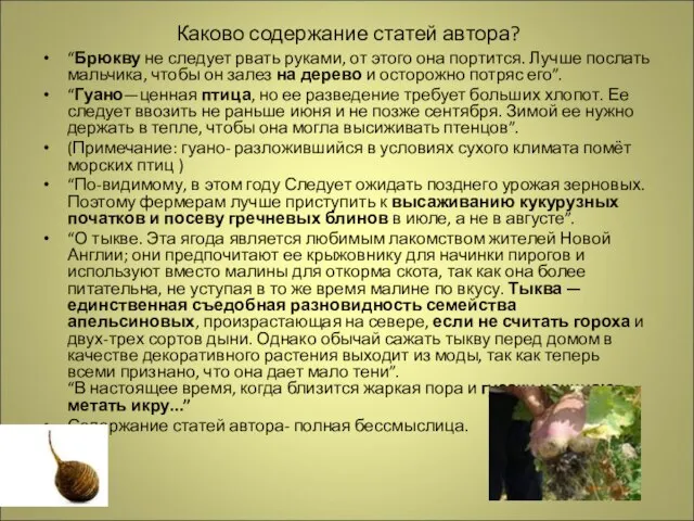 Каково содержание статей автора? “Брюкву не следует рвать руками, от этого она