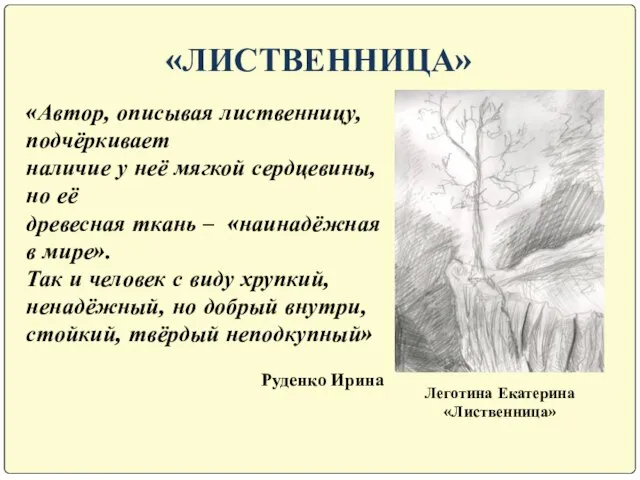 «ЛИСТВЕННИЦА» Леготина Екатерина «Лиственница» «Автор, описывая лиственницу, подчёркивает наличие у неё мягкой