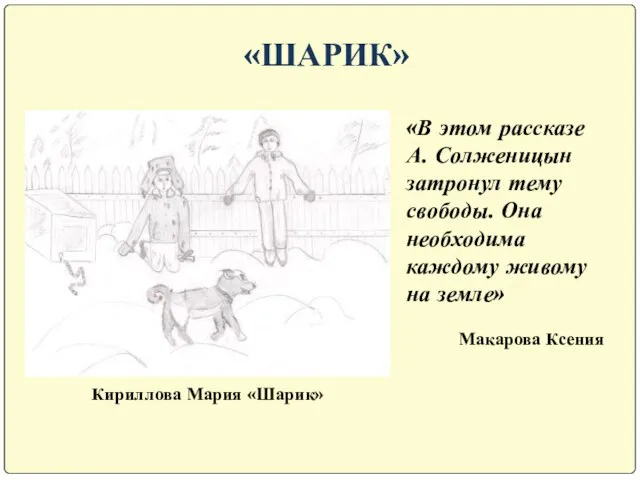 «ШАРИК» Кириллова Мария «Шарик» «В этом рассказе А. Солженицын затронул тему свободы.