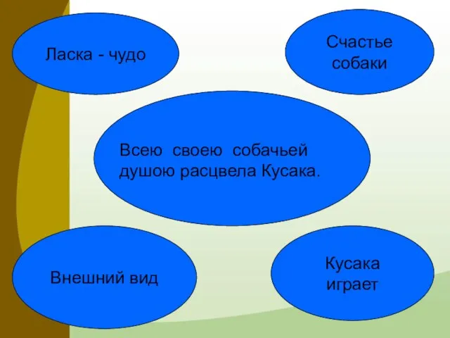 Всею своею собачьей душою расцвела Кусака. Счастье собаки Ласка - чудо Кусака играет Внешний вид