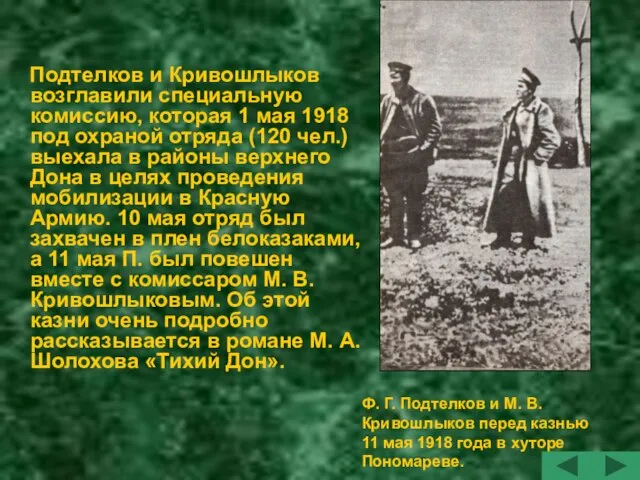 Подтелков и Кривошлыков возглавили специальную комиссию, которая 1 мая 1918 под охраной