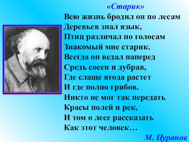 «Старик» Всю жизнь бродил он по лесам Деревьев знал язык, Птиц различал