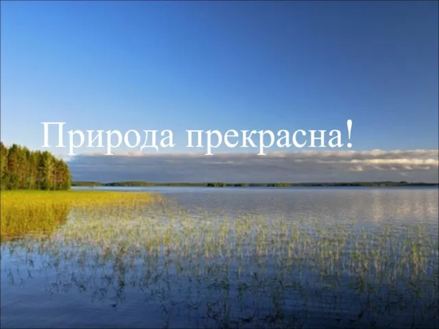 Природа прекрасна!