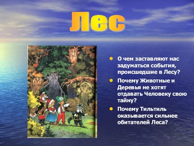 О чем заставляют нас задуматься события, происшедшие в Лесу? Почему Животные и