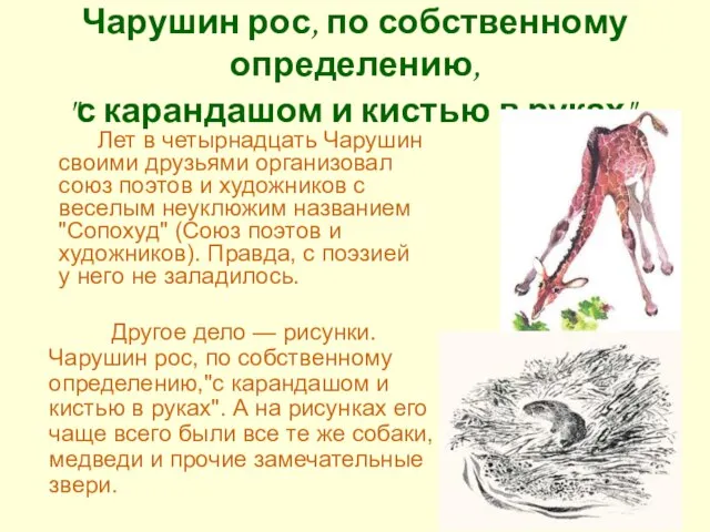 Чарушин рос, по собственному определению, "с карандашом и кистью в руках". Лет