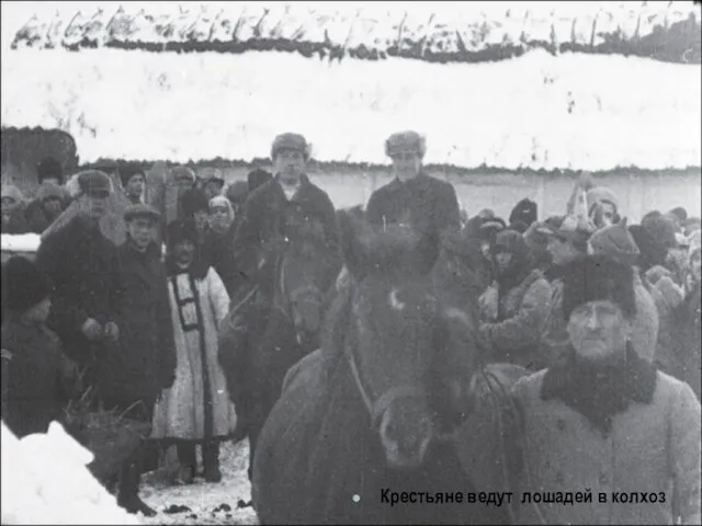 Крестьяне ведут лошадей в колхоз