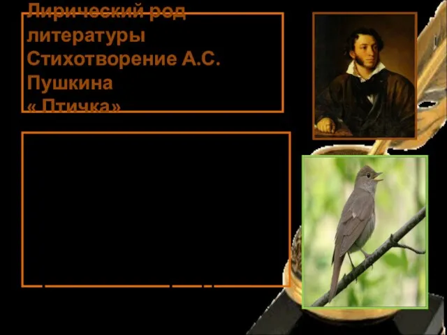 Лирический род литературы Стихотворение А.С. Пушкина « Птичка» В чужбине свято наблюдаю