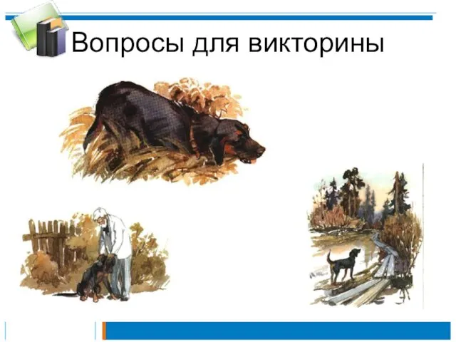 Вопросы для викторины