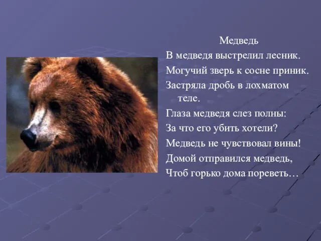 Медведь В медведя выстрелил лесник. Могучий зверь к сосне приник. Застряла дробь