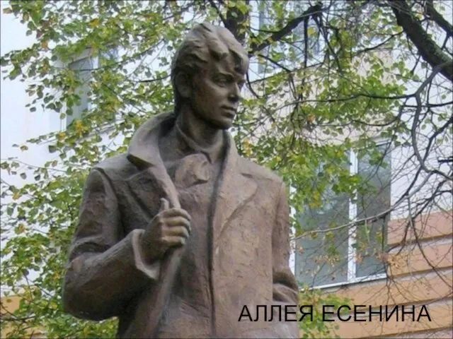 АЛЛЕЯ ЕСЕНИНА