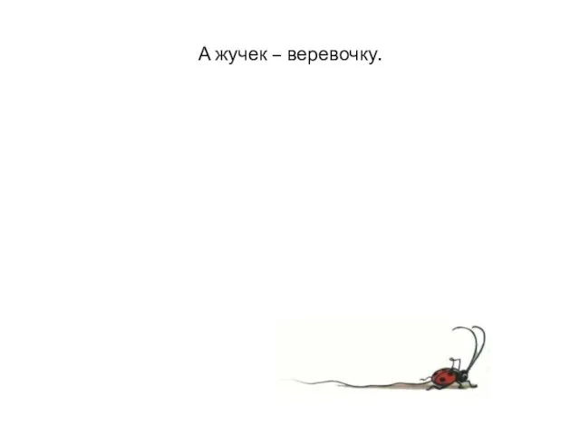 А жучек – веревочку.