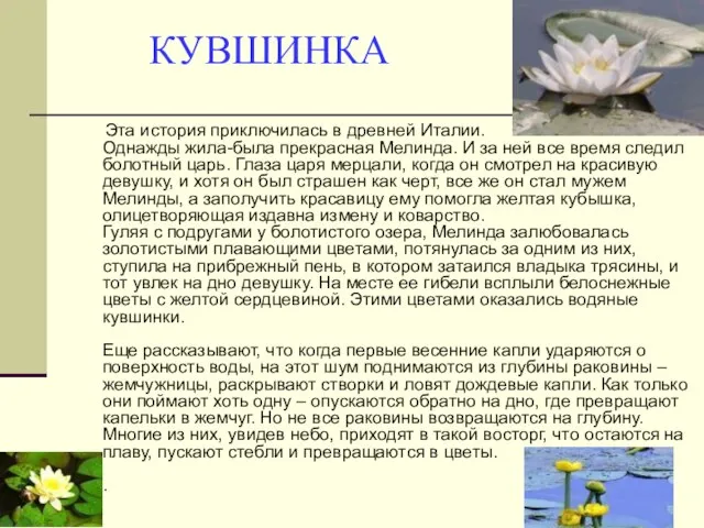 КУВШИНКА Эта история приключилась в древней Италии. Однажды жила-была прекрасная Мелинда. И