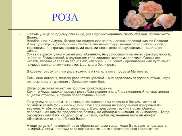 РОЗА Наконец, ещё по одному сказанию, роза происхождением своим обязана богине охоты