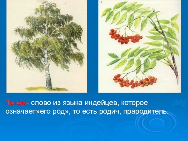 Тотем- слово из языка индейцев, которое означает»его род», то есть родич, прародитель.