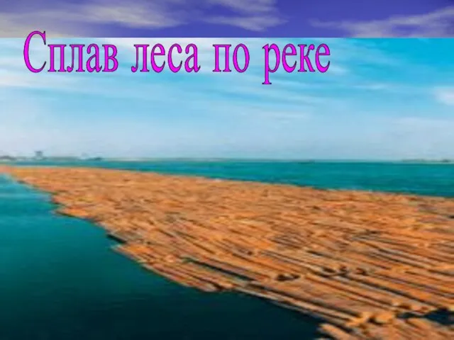 Сплав леса по реке