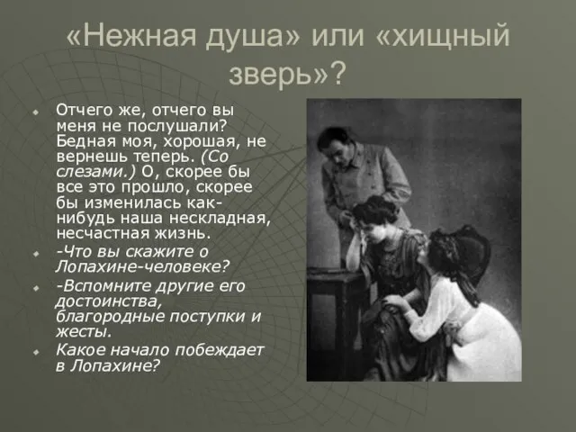 «Нежная душа» или «хищный зверь»? Отчего же, отчего вы меня не послушали?