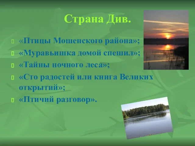 Страна Див. «Птицы Мошенского района»; «Муравьишка домой спешил»; «Тайны ночного леса»; «Сто