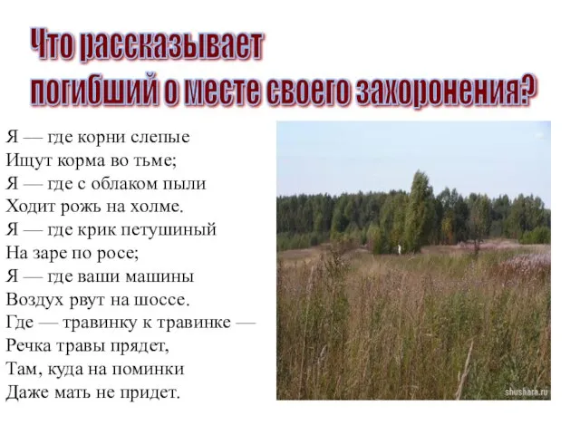 Что рассказывает погибший о месте своего захоронения? Я — где корни слепые