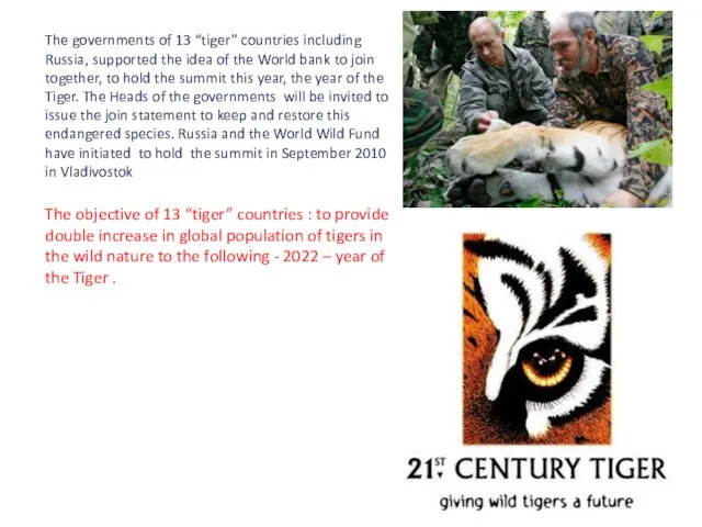 The governments of 13 “tiger” countries including Russia, supported the idea of