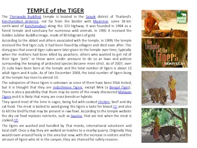 TEMPLE of the TIGER The Theravada Buddhist temple is located in the