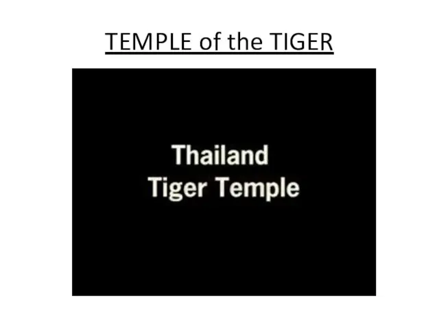 TEMPLE of the TIGER