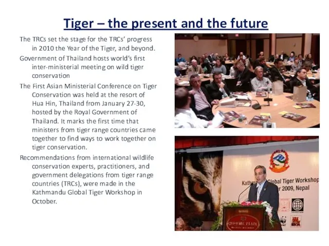 Tiger – the present and the future The TRCs set the stage