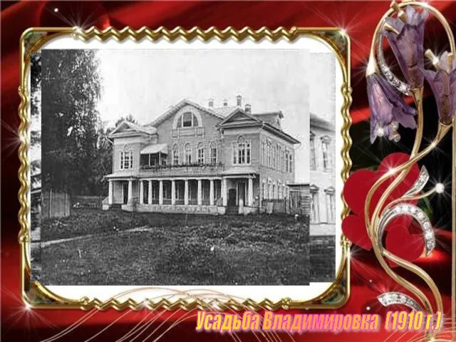 Усадьба Владимировка (1910 г.)