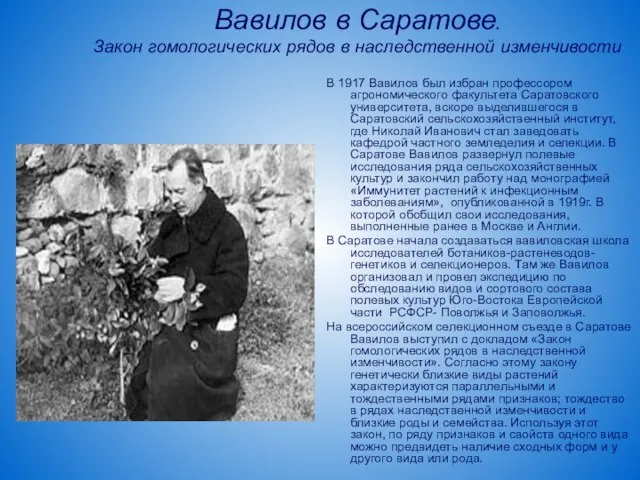 Вавилов в Саратове. Закон гомологических рядов в наследственной изменчивости В 1917 Вавилов