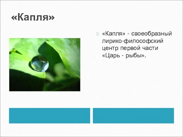 «Капля» «Капля» - своеобразный лирико-философский центр первой части «Царь - рыбы».