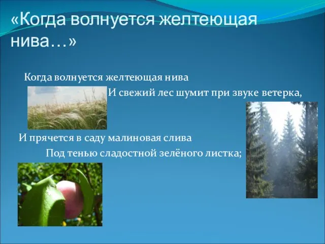 «Когда волнуется желтеющая нива…» Когда волнуется желтеющая нива И свежий лес шумит