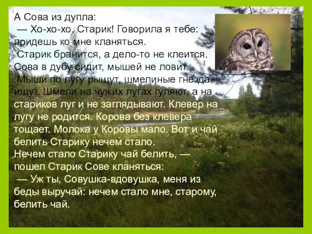 А Сова из дупла: — Хо-хо-хо, Старик! Говорила я тебе: придешь ко