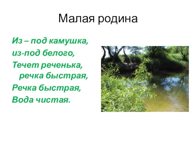 Малая родина Из – под камушка, из-под белого, Течет реченька, речка быстрая, Речка быстрая, Вода чистая.