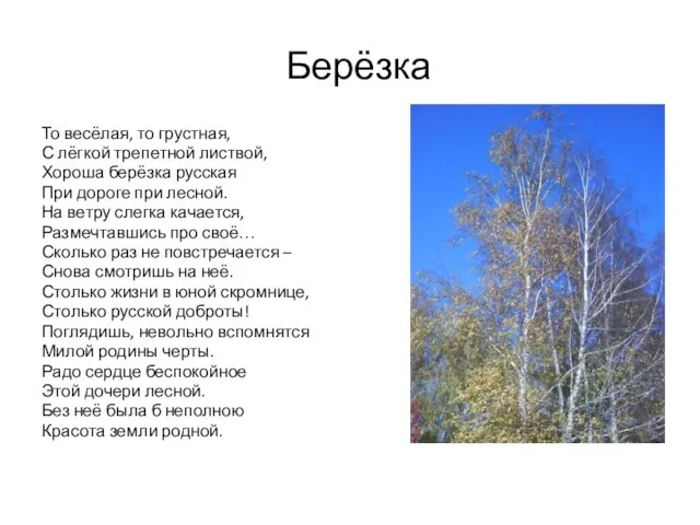 Берёзка То весёлая, то грустная, С лёгкой трепетной листвой, Хороша берёзка русская