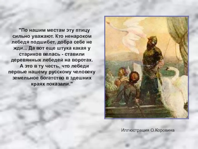 "По нашим местам эту птицу сильно уважают. Кто ненароком лебедя подшибет, добра