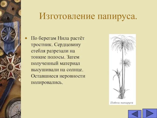 Изготовление папируса. По берегам Нила растёт тростник. Сердцевину стебля разрезали на тонкие