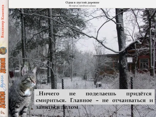 Одна в пустой деревне История городской кошки …Ничего не поделаешь придётся смириться.