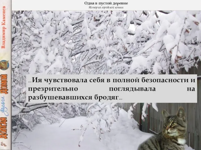 Одна в пустой деревне История городской кошки …Ия чувствовала себя в полной