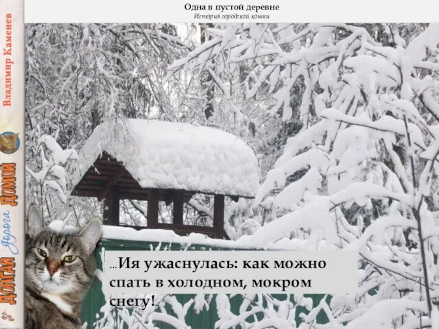 …Ия ужаснулась: как можно спать в холодном, мокром снегу!.. Одна в пустой деревне История городской кошки
